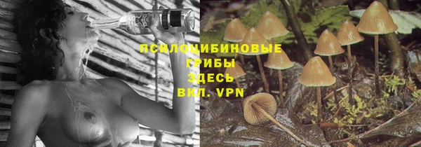 хмурый Баксан