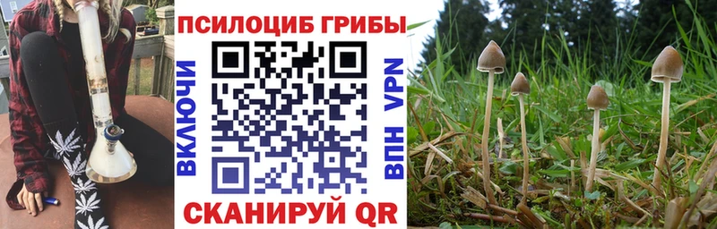 Галлюциногенные грибы Psilocybe  Крымск 